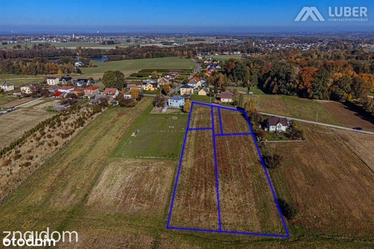 Uzbrojona i widokowa działka w Pisarzowicach - zdjęcie 19