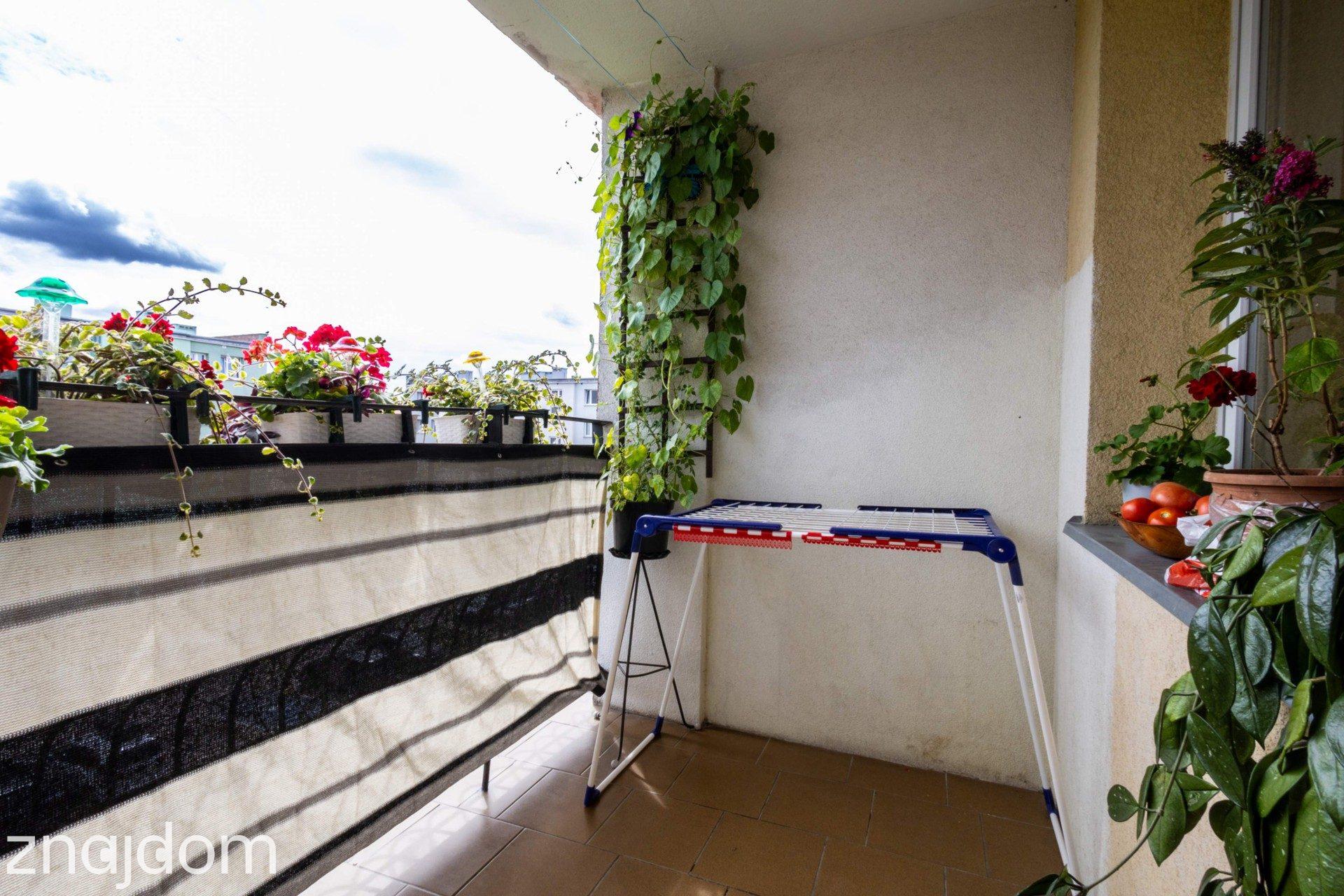 Mieszkanie 59,8 m² z balkonem przy ul. Kasztanowej w Tczewie - zdjęcie 12