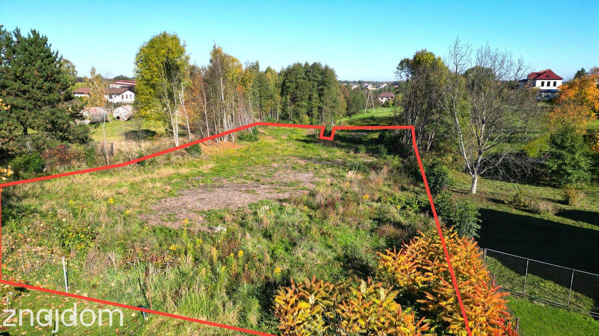 Świetna inwestycja! Działka 5719 m² w Kaczycach za jedyne 170 000 zł! - zdjęcie 4