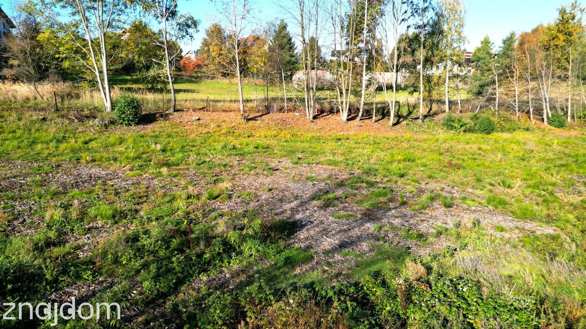 Świetna inwestycja! Działka 5719 m² w Kaczycach za jedyne 170 000 zł! - zdjęcie 7