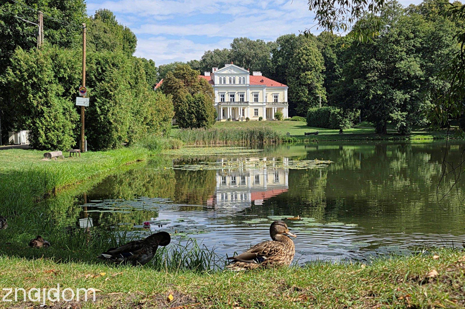 Złoty Potok, uzbrojenie, 25m szer. Las, Stadnina, Pałac Krasickiego - zdjęcie 17