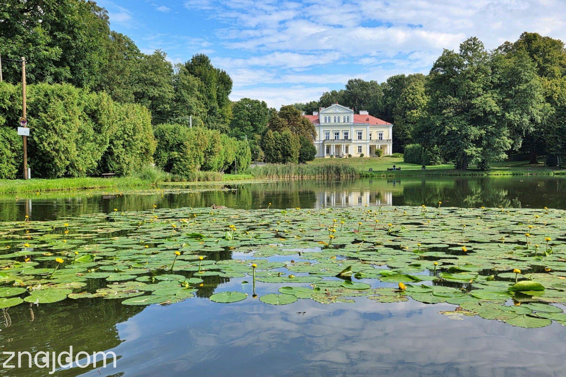 Złoty Potok, uzbrojenie, 25m szer. Las, Stadnina, Pałac Krasickiego - zdjęcie 19