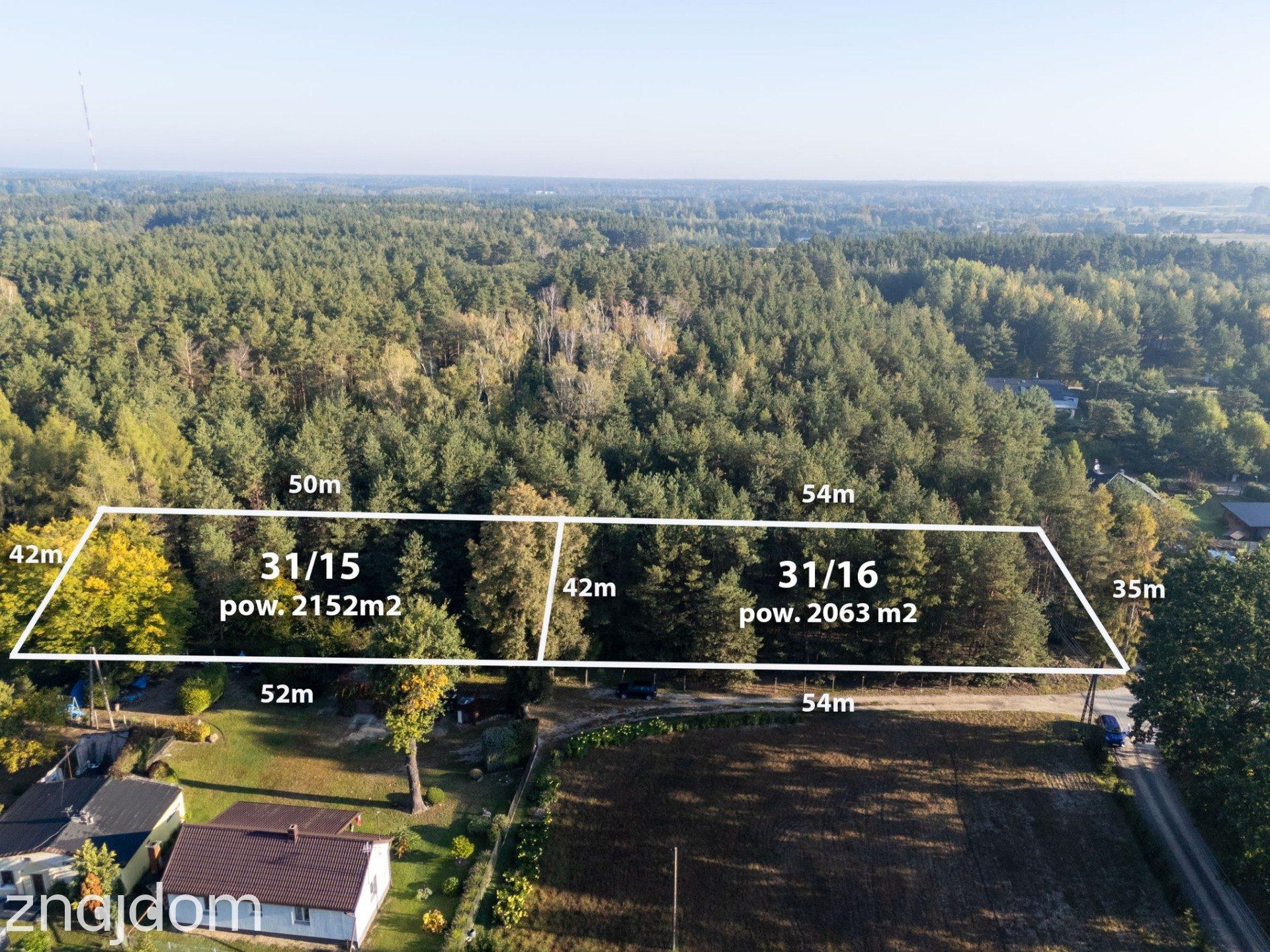Mieszkowo | MPZP | Blisko trasy S7 | Drzewa i las - zdjęcie 2
