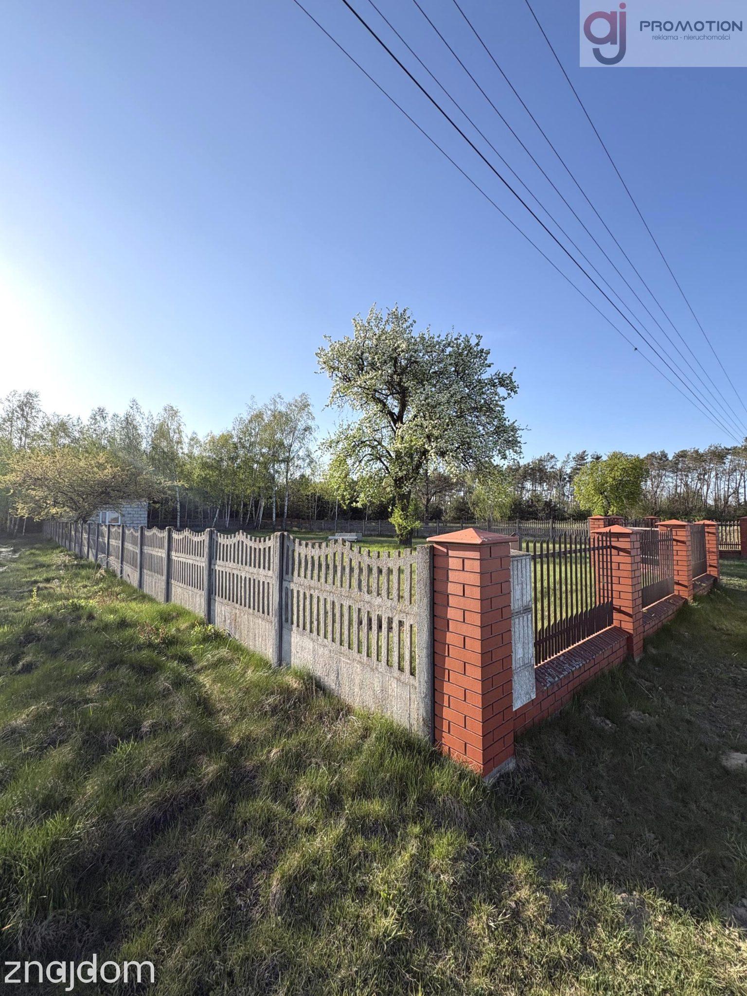 Działka z prywatnym lasem, Żelechlinek, Staropole - zdjęcie 5