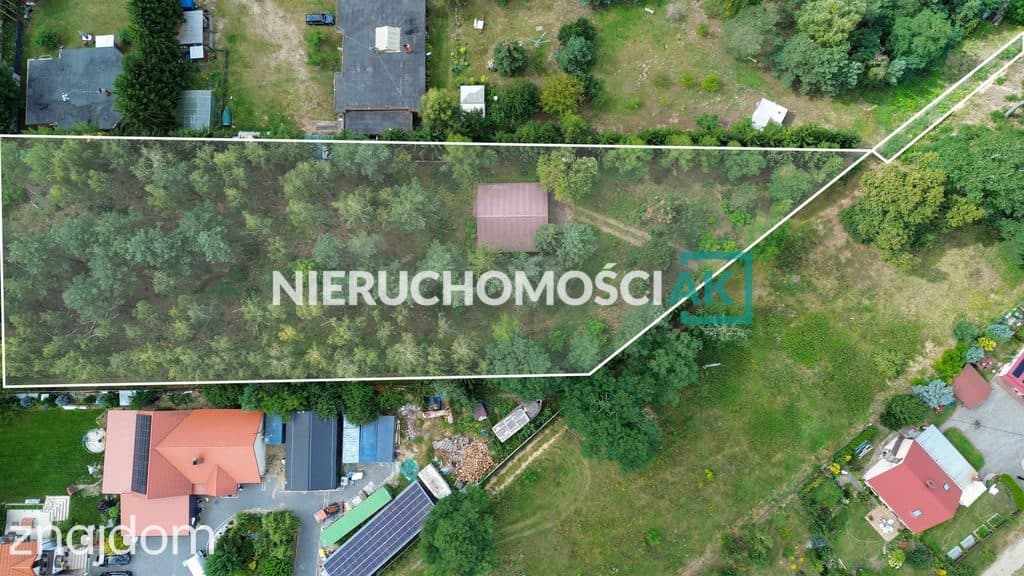 Działka przy jeziorze Ślesińskim - zdjęcie 13