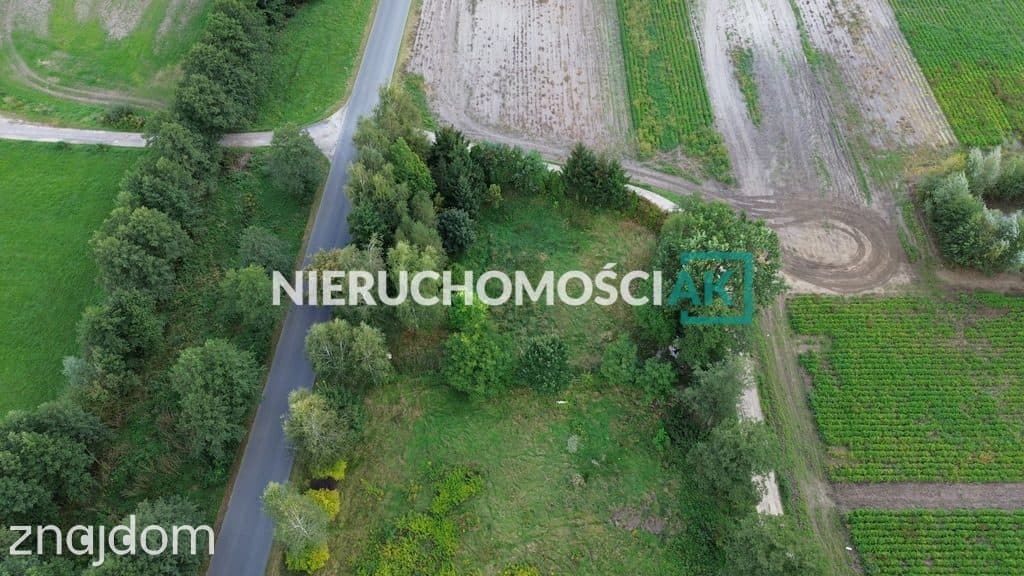 Glinno | Działka 1605 m2 | Nowy Tomyśl - zdjęcie 4