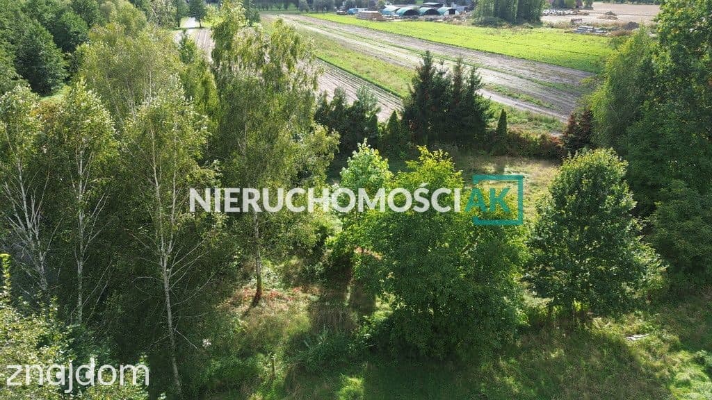Glinno | Działka 1605 m2 | Nowy Tomyśl - zdjęcie 5