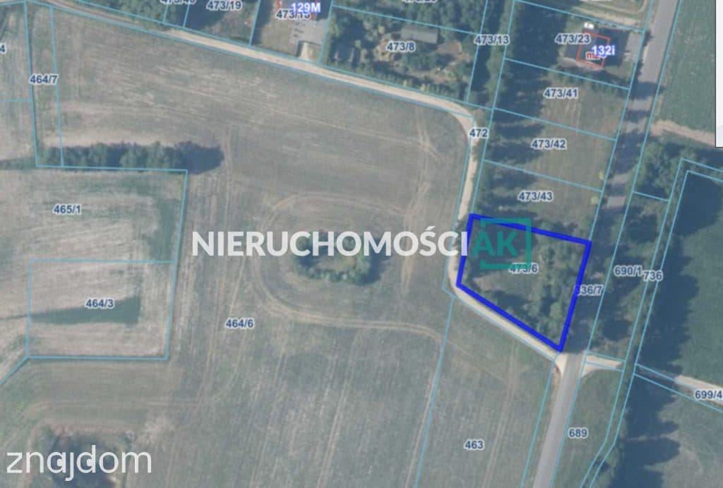 Glinno | Działka 1605 m2 | Nowy Tomyśl - zdjęcie 7