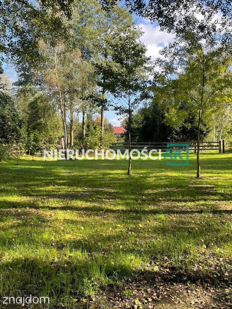 Dom 150 m² z działką 5400 m² i dostępem do kanału | Konin, Laskówiec - zdjęcie 18
