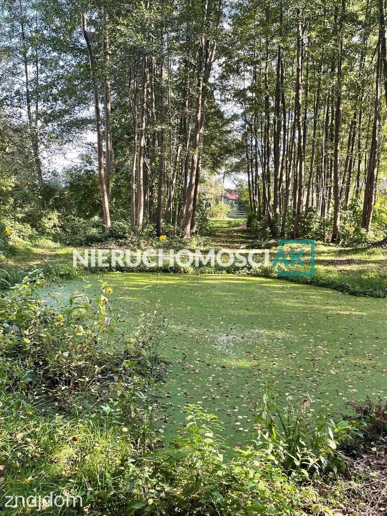 Dom 150 m² z działką 5400 m² i dostępem do kanału | Konin, Laskówiec - zdjęcie 19
