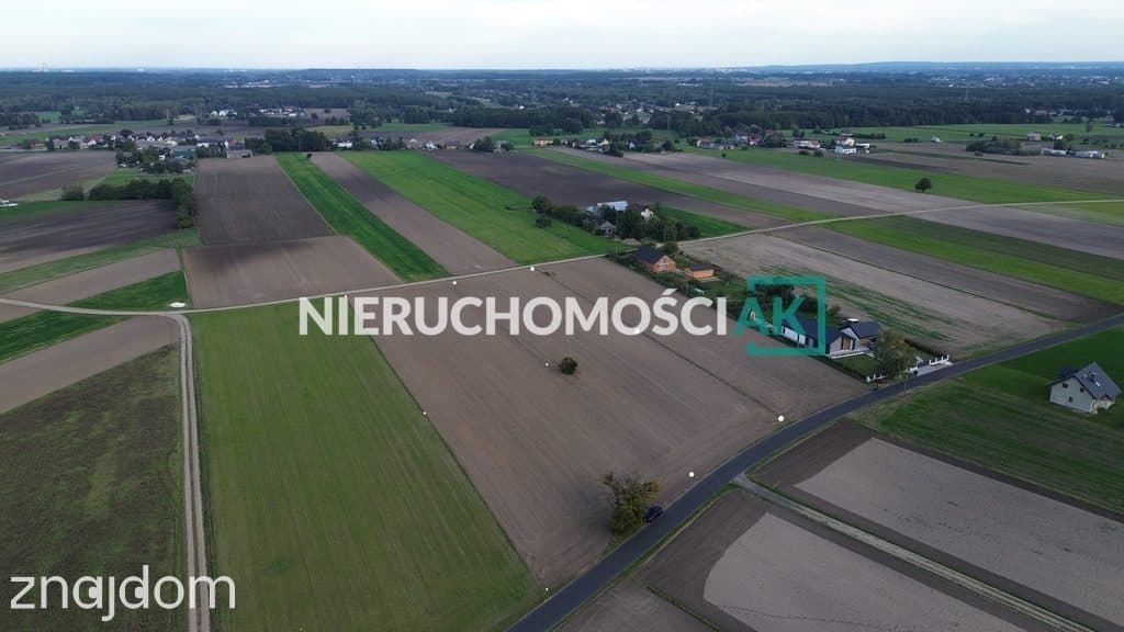 Rosocha gm. Golina | 4 działki na sprzedaż | 60zł/m² - zdjęcie 2