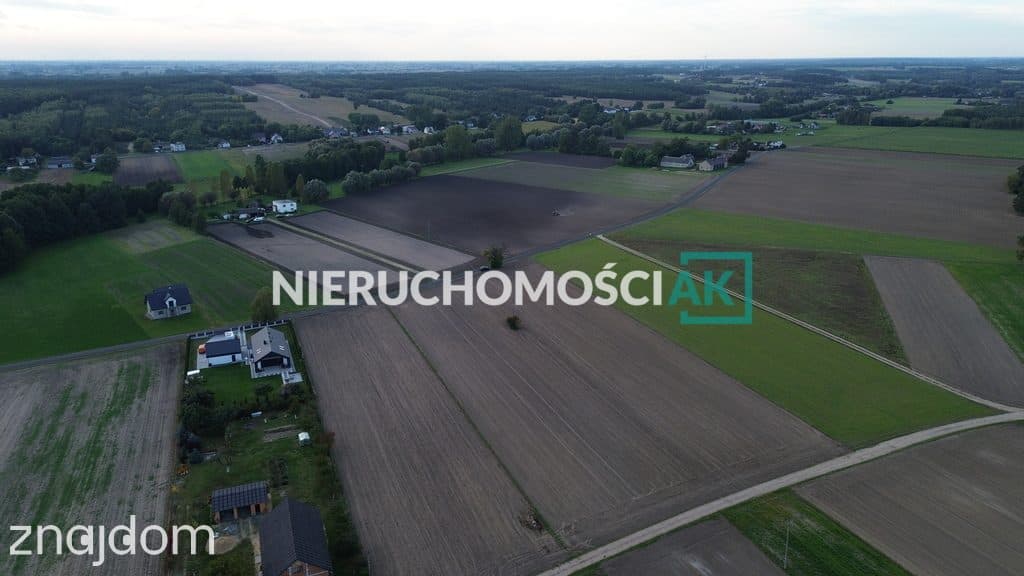 Rosocha gm. Golina | 4 działki na sprzedaż | 60zł/m² - zdjęcie 4