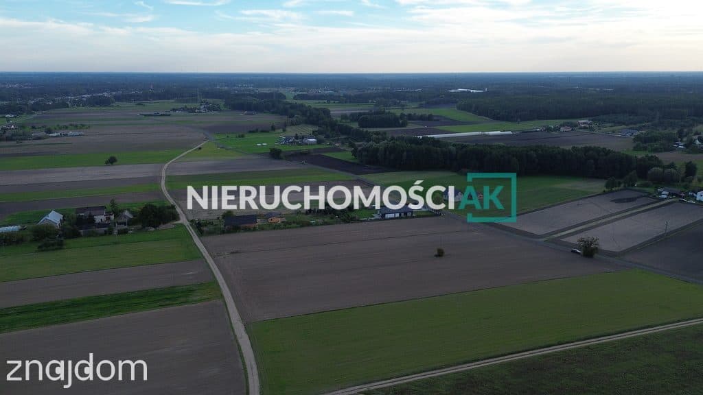 Rosocha gm. Golina | 4 działki na sprzedaż | 60zł/m² - zdjęcie 5