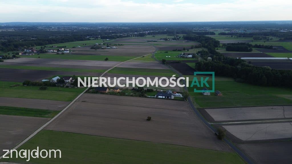 Rosocha gm. Golina | 4 działki na sprzedaż | 60zł/m² - zdjęcie 6