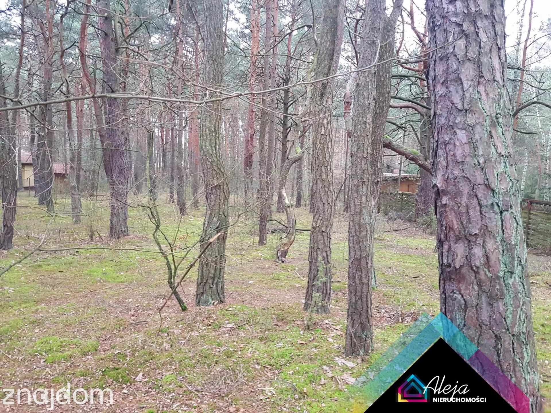 Działka budowlana Władysławów nad Liswartą - zdjęcie 2
