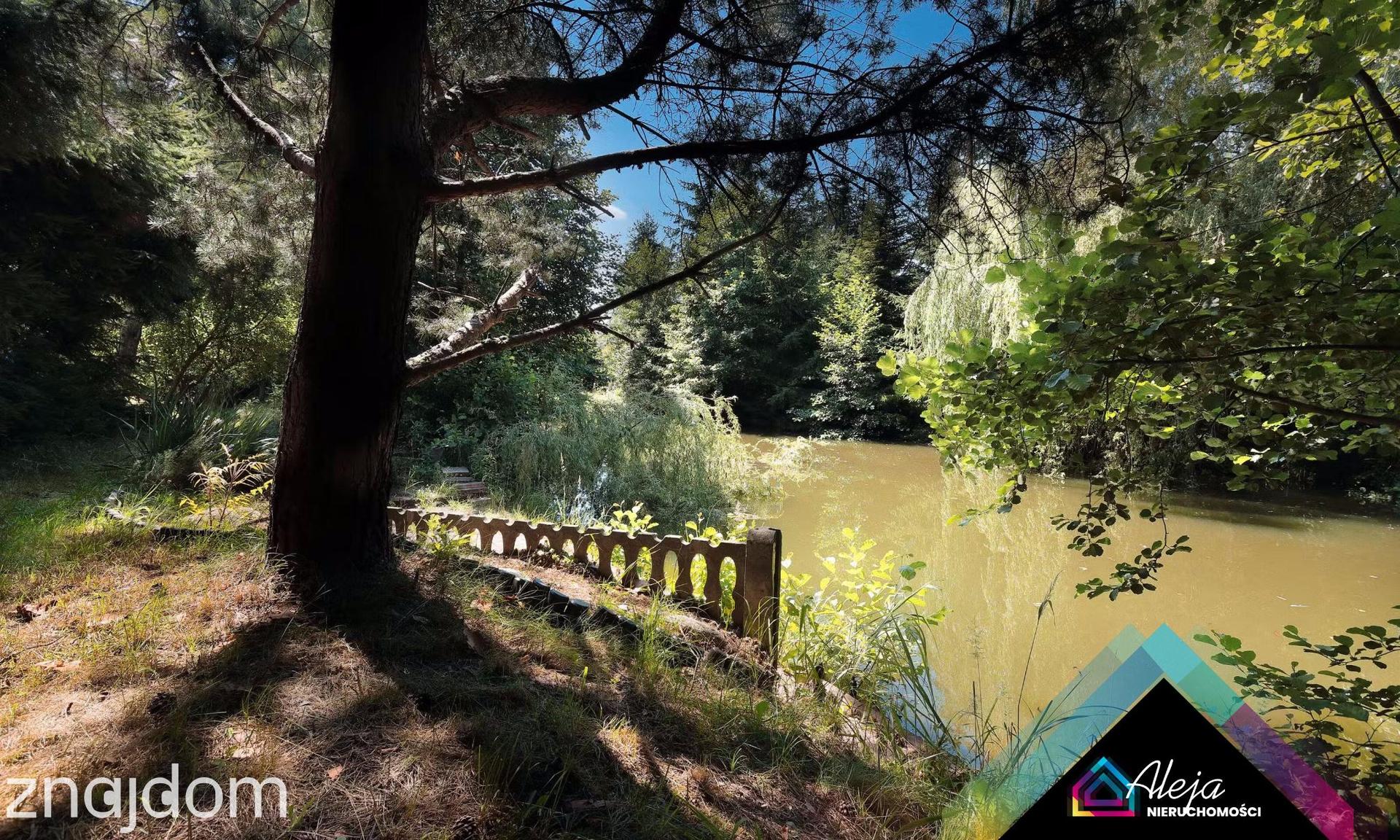 Oryginalny dom ze stawem i lasem ok 6300m2 działki - zdjęcie 3