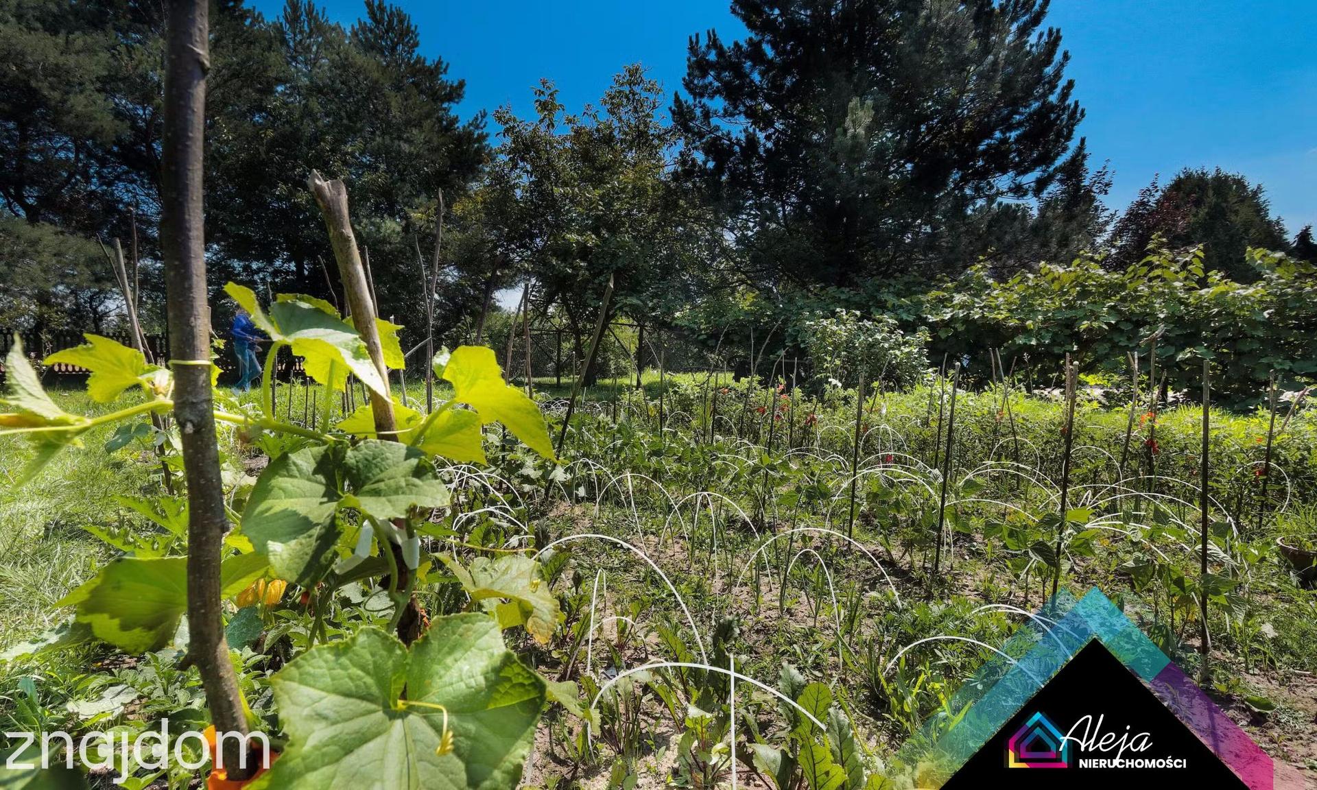 Oryginalny dom ze stawem i lasem ok 6300m2 działki - zdjęcie 8
