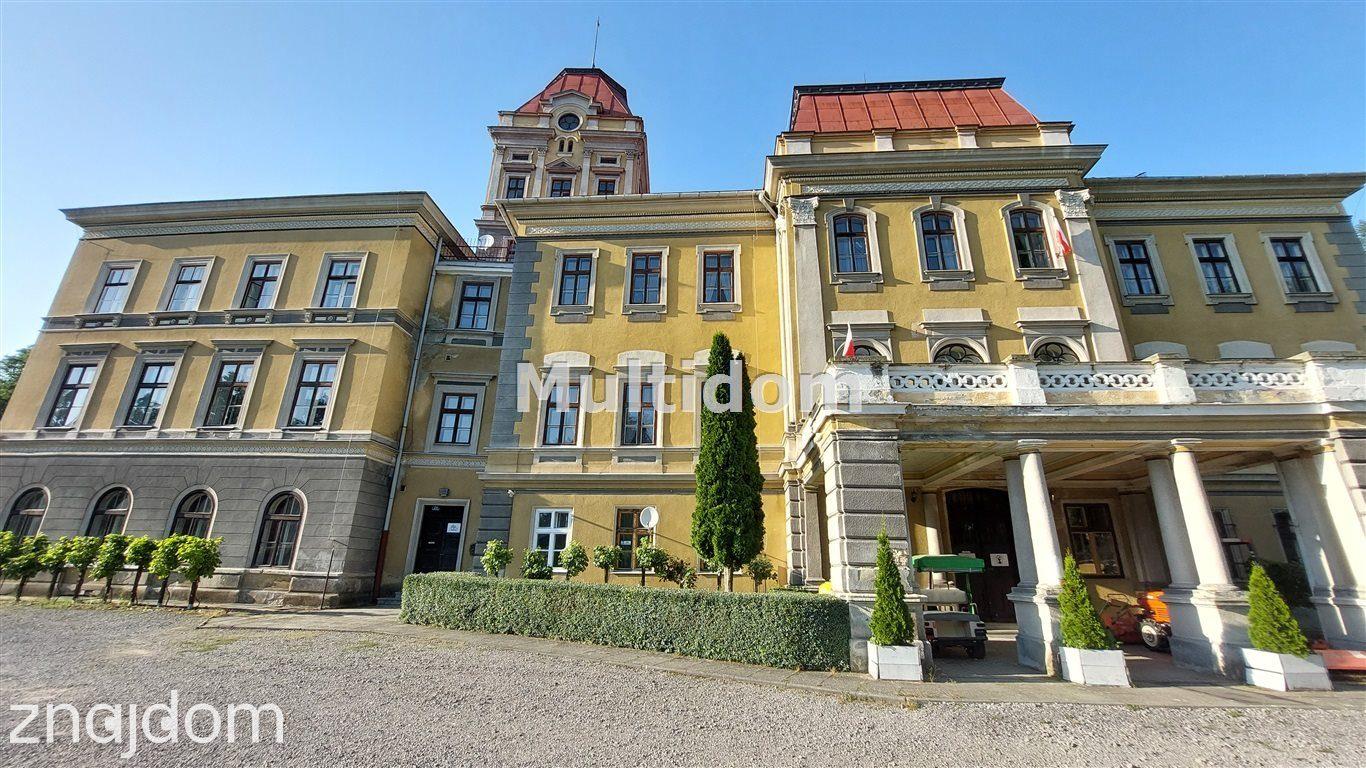 Sprzedam działkę 40 ar Kończyce Wielkie - zdjęcie 9