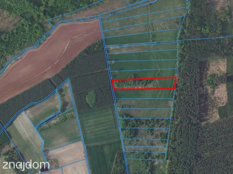 Działka 1,35 ha, Luboradów wśród lasów, Milicz