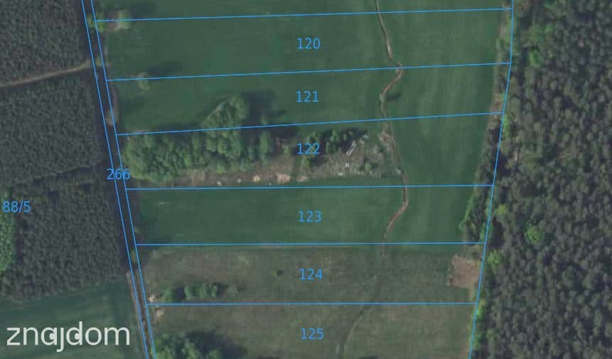 Działka 1,35 ha, Luboradów wśród lasów, Milicz - zdjęcie 2