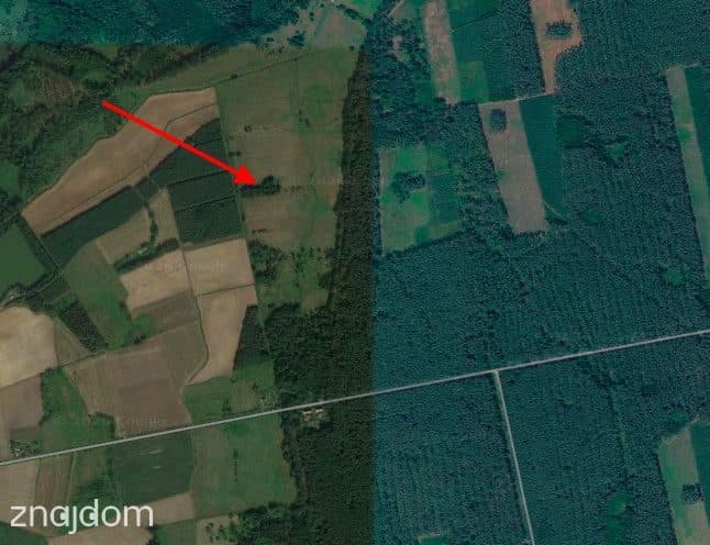 Działka 1,35 ha, Luboradów wśród lasów, Milicz - zdjęcie 3