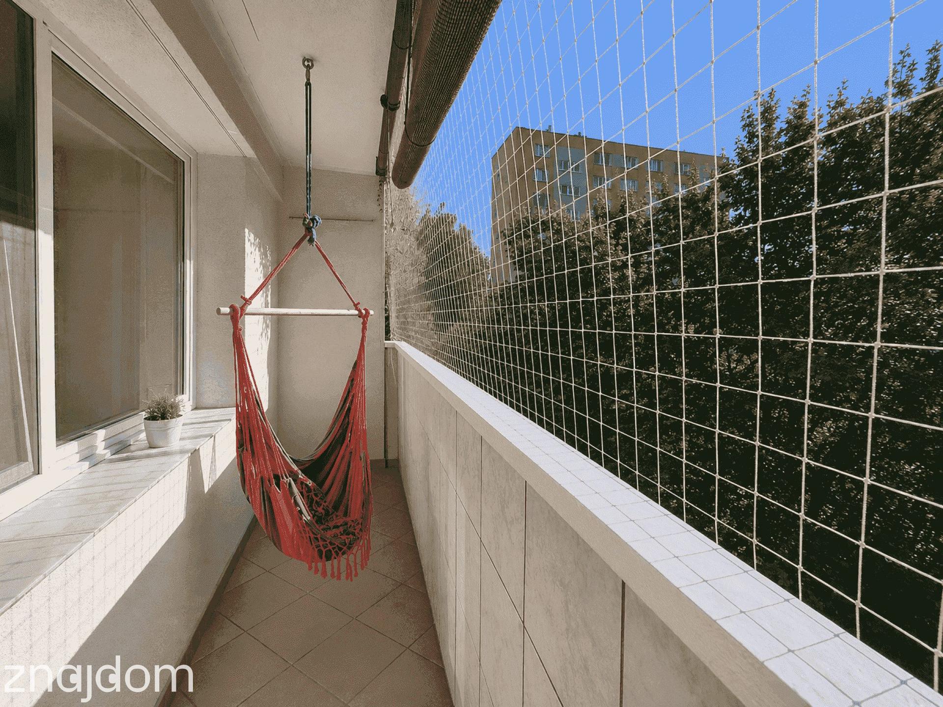 Przytulne mieszkanie/ Chojny/ 2 pokoje/ kuchnia/ rozkładowe/ balkon/ cicho/ - zdjęcie 6