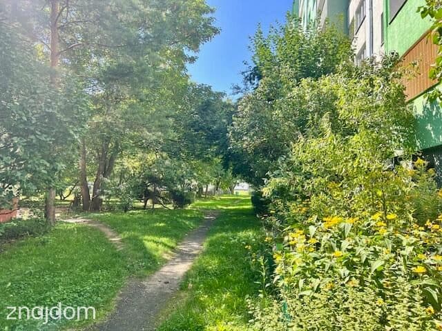 3 pokoje z balkonem – boczna Olszewskiego - zdjęcie 10