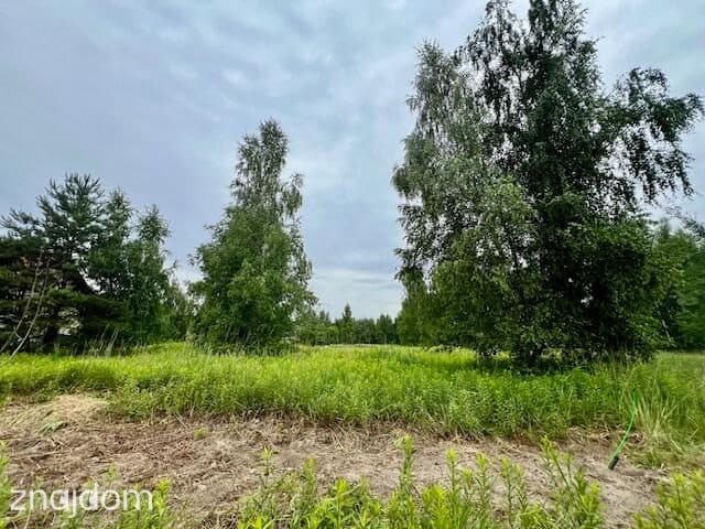 Miłoszyce - kształtna działka 1300m2