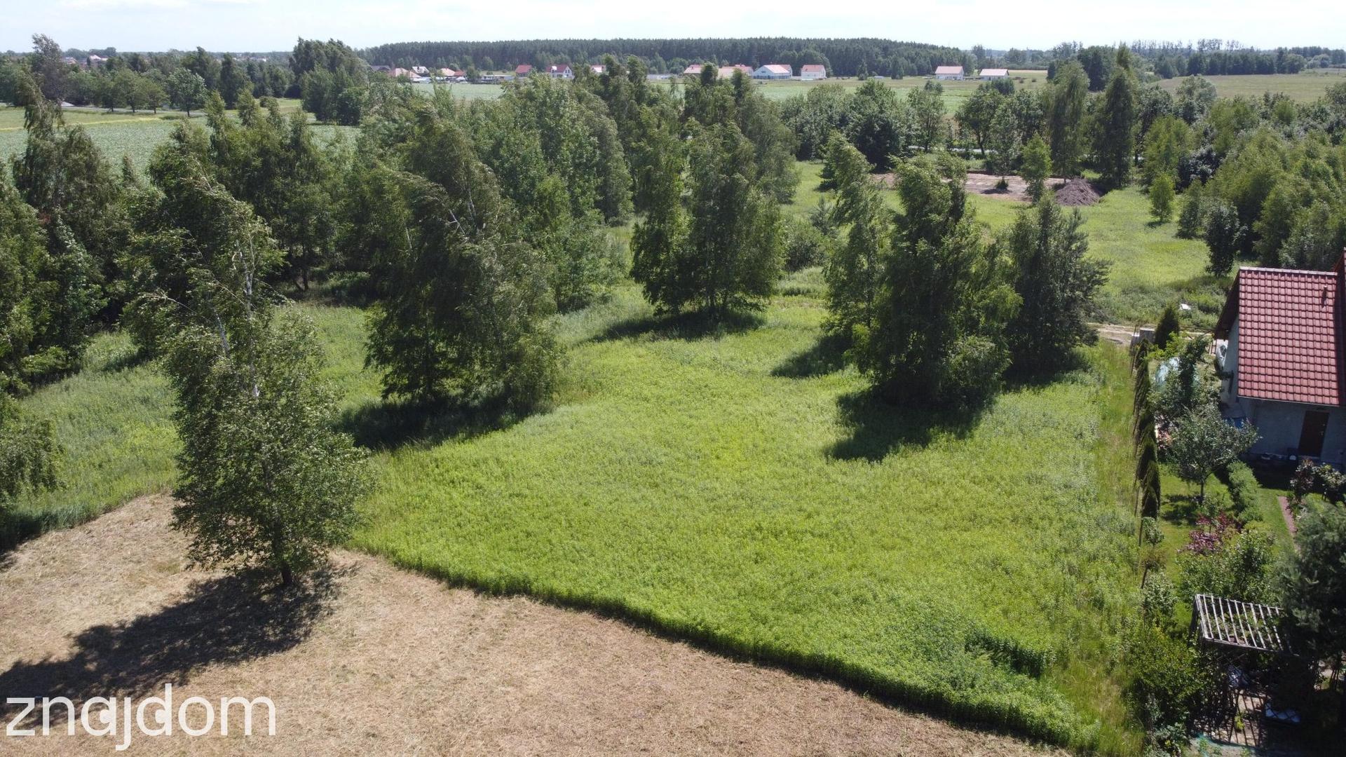 Miłoszyce - kształtna działka 1300m2 - zdjęcie 2