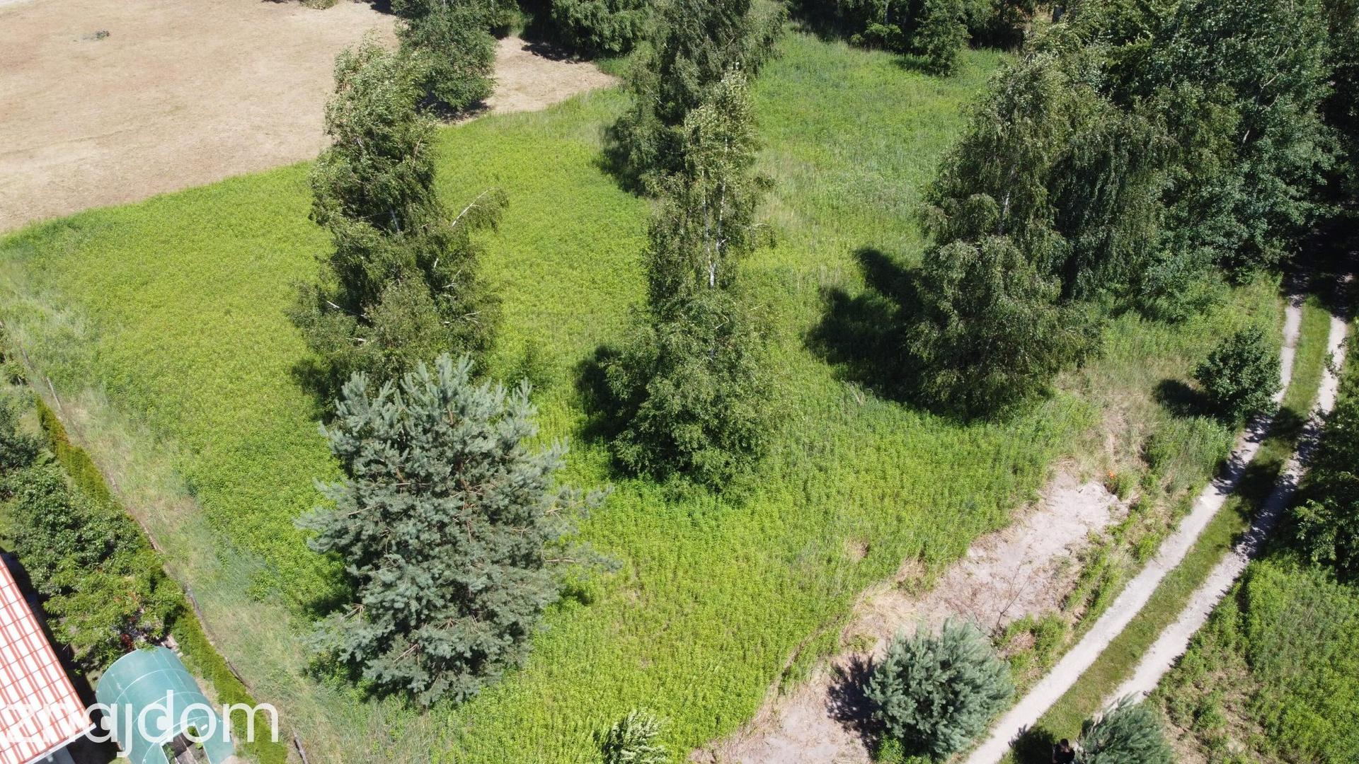 Miłoszyce - kształtna działka 1300m2 - zdjęcie 3