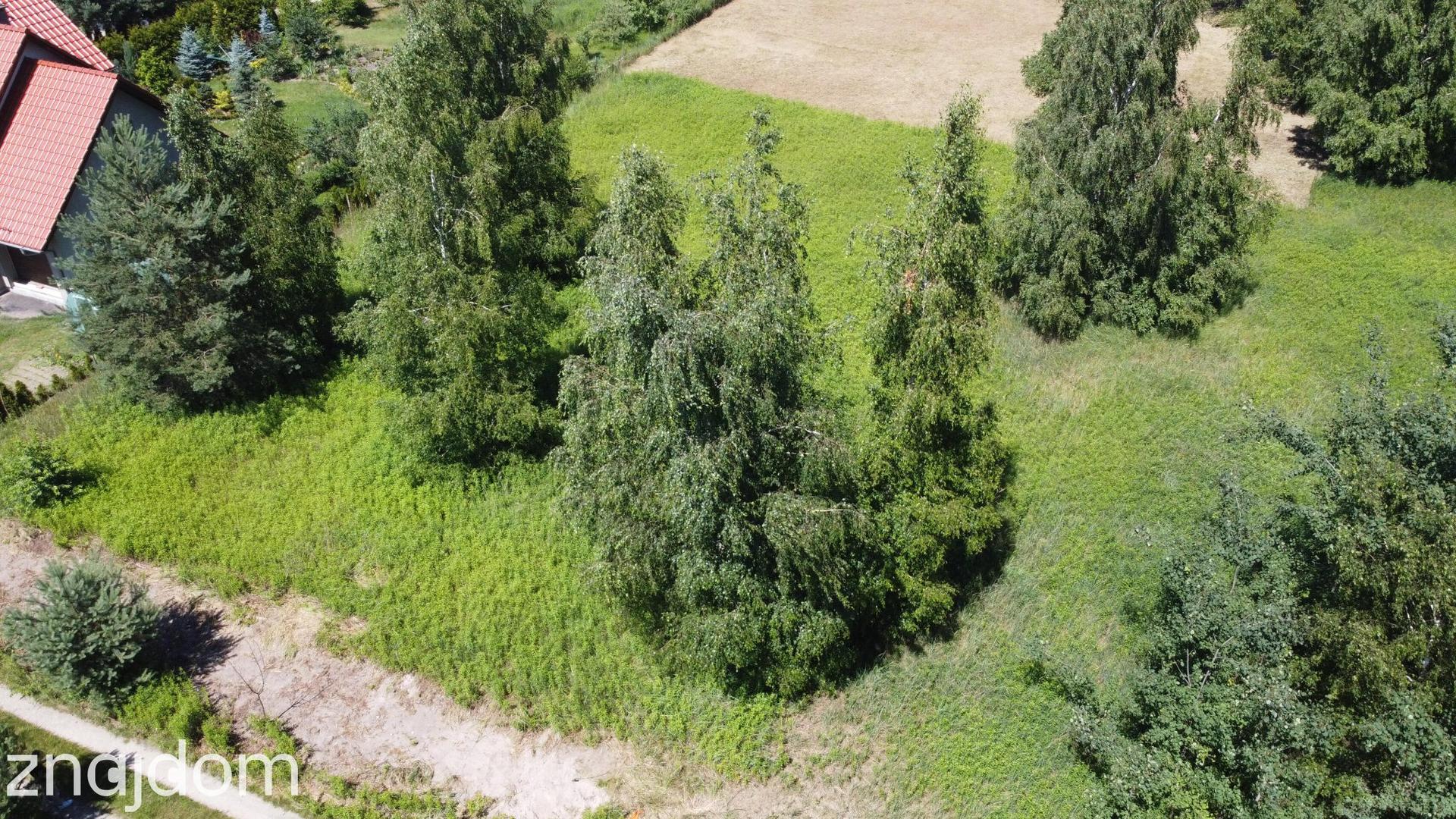 Miłoszyce - kształtna działka 1300m2 - zdjęcie 6
