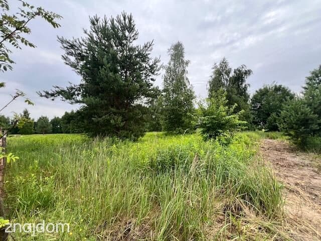 Miłoszyce - kształtna działka 1300m2 - zdjęcie 7