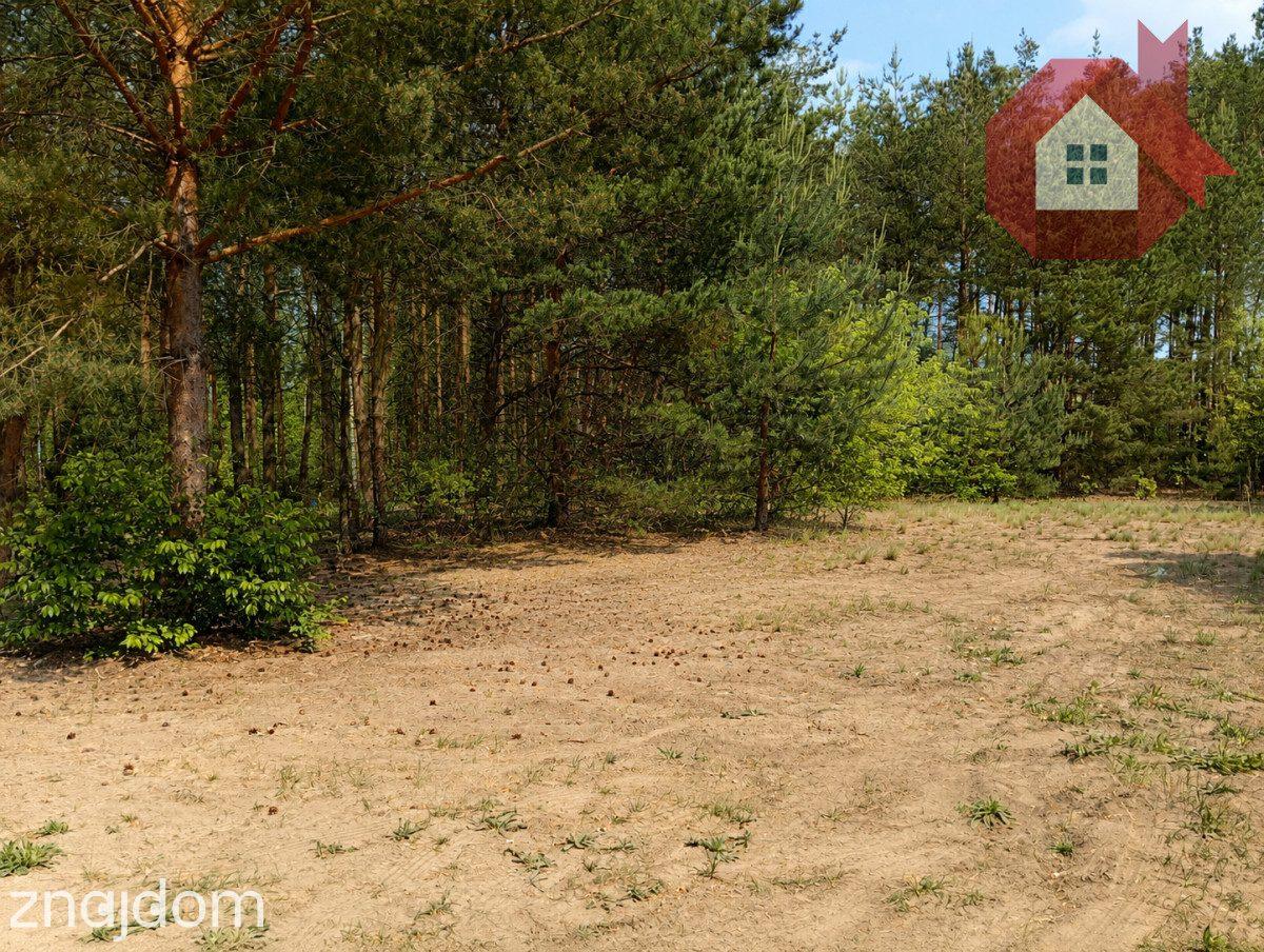 Twój dom wśród sosen | Działka 1414 m² k/Radzymina - zdjęcie 3