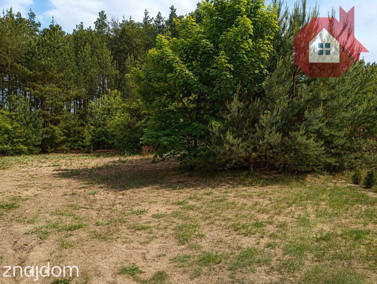 Twój dom wśród sosen | Działka 1414 m² k/Radzymina - zdjęcie 4