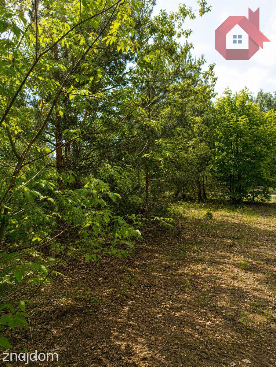 Twój dom wśród sosen | Działka 1414 m² k/Radzymina - zdjęcie 5