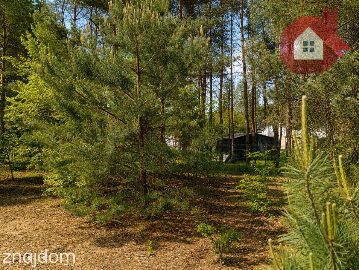 Twój dom wśród sosen | Działka 1414 m² k/Radzymina - zdjęcie 7
