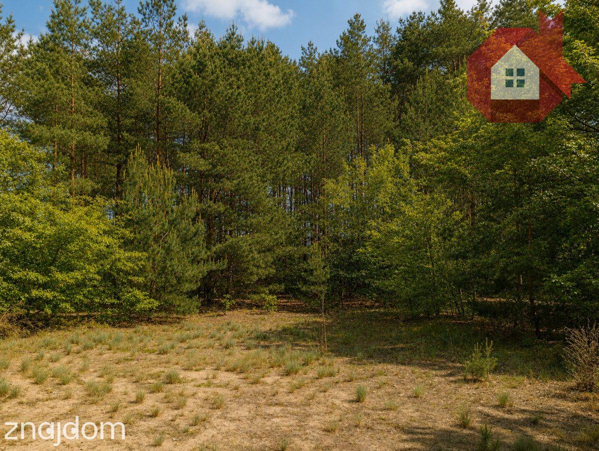 Twój dom wśród sosen | Działka 1414 m² k/Radzymina - zdjęcie 8