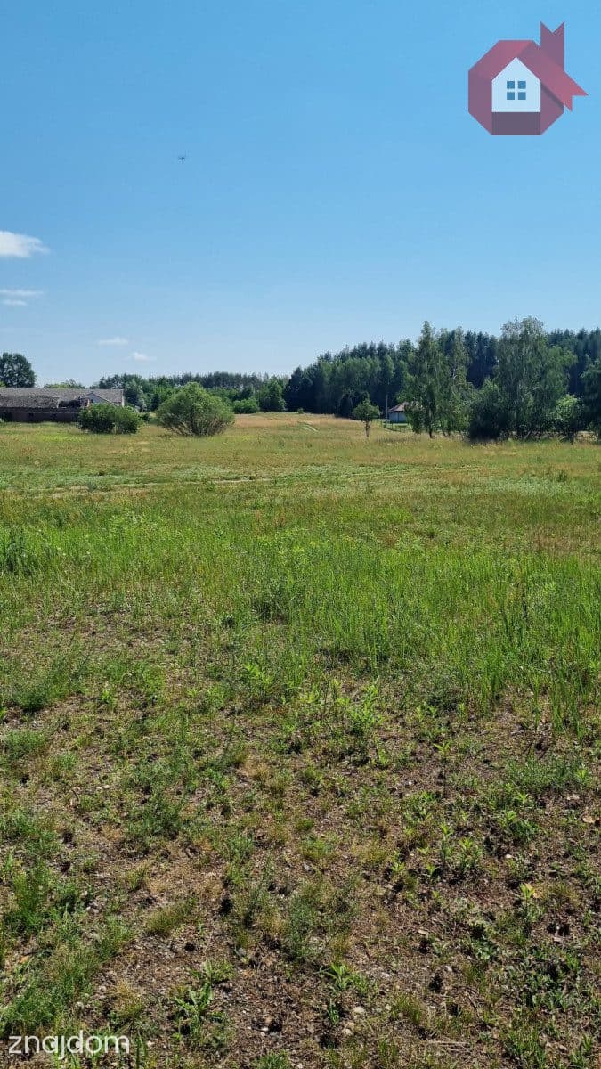 Działka wśród sosen | MPZP | 975 m² | Ostrówek - zdjęcie 5