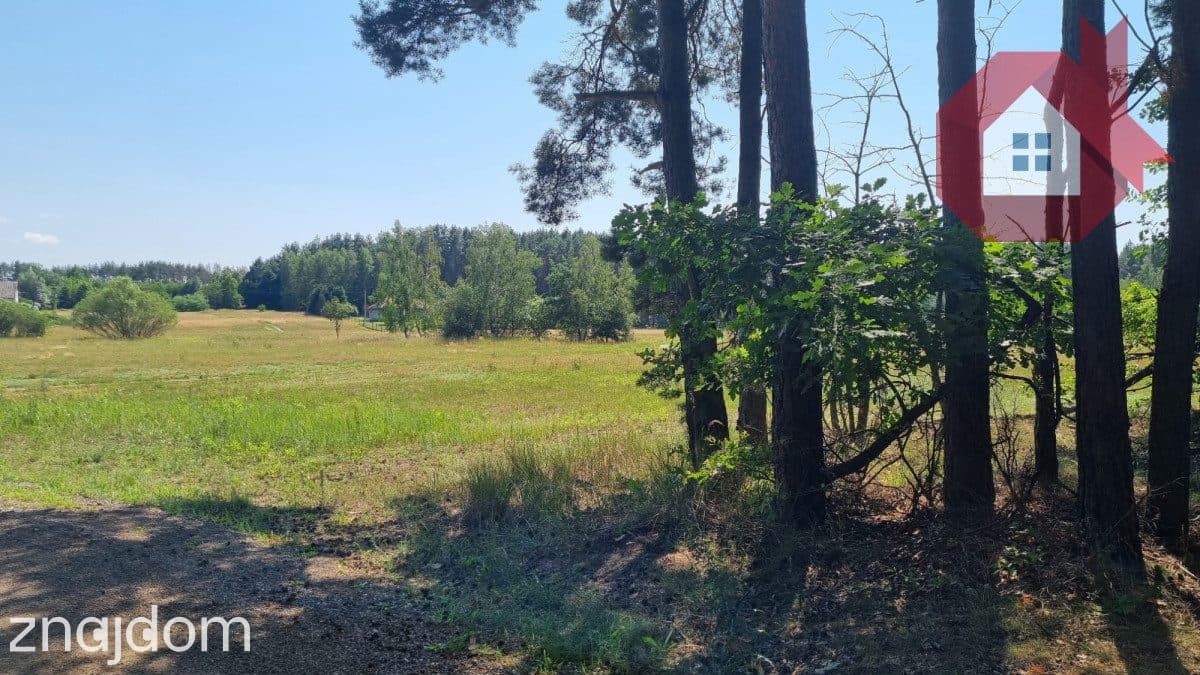 Działka wśród sosen | MPZP | 975 m² | Ostrówek - zdjęcie 6