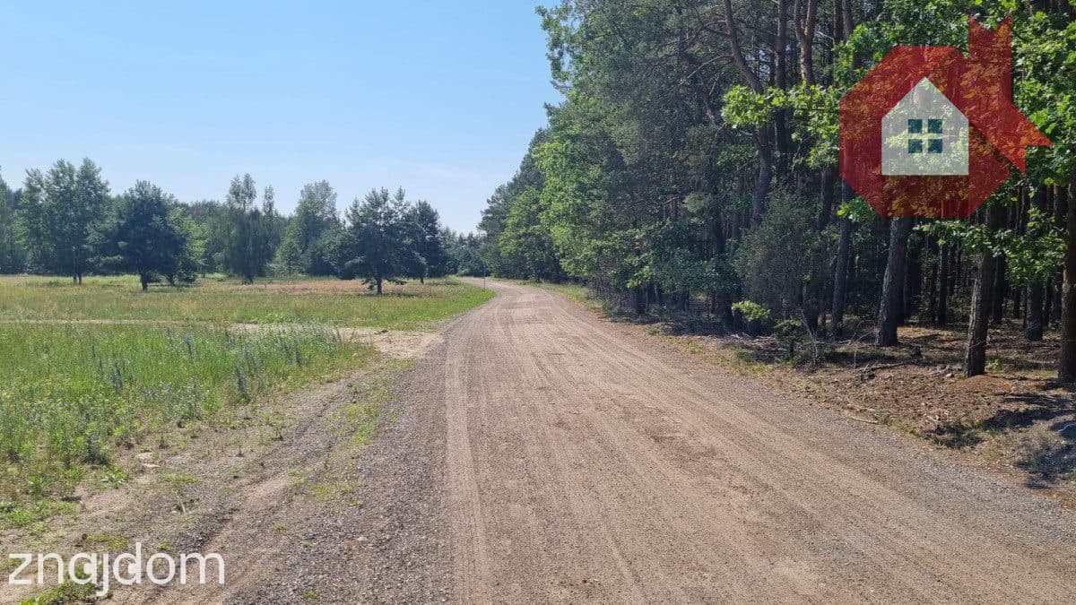 Działka wśród sosen | MPZP | 975 m² | Ostrówek - zdjęcie 7