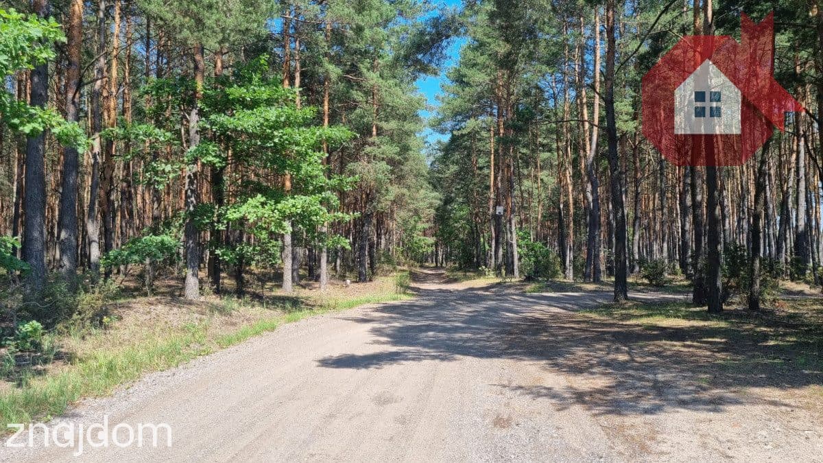 Działka wśród sosen | MPZP | 975 m² | Ostrówek