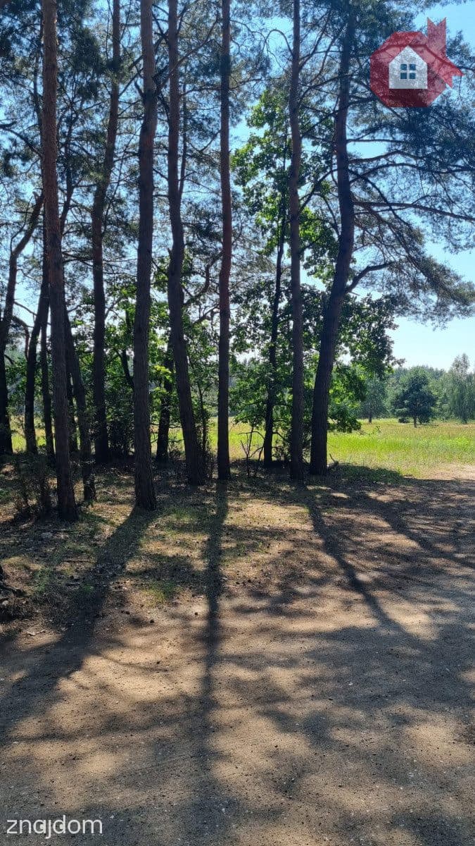 Działka wśród sosen | MPZP | 975 m² | Ostrówek - zdjęcie 13