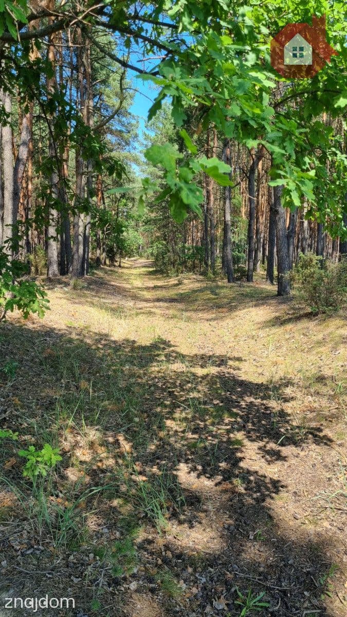 Słoneczna działka tuż przy lesie | MPZP | 975 m² - zdjęcie 6