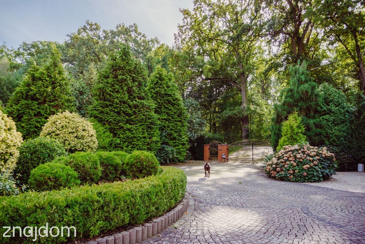 Dom 280 m² z dużym ogrodem | Ruda Milicka | blisko - zdjęcie 15