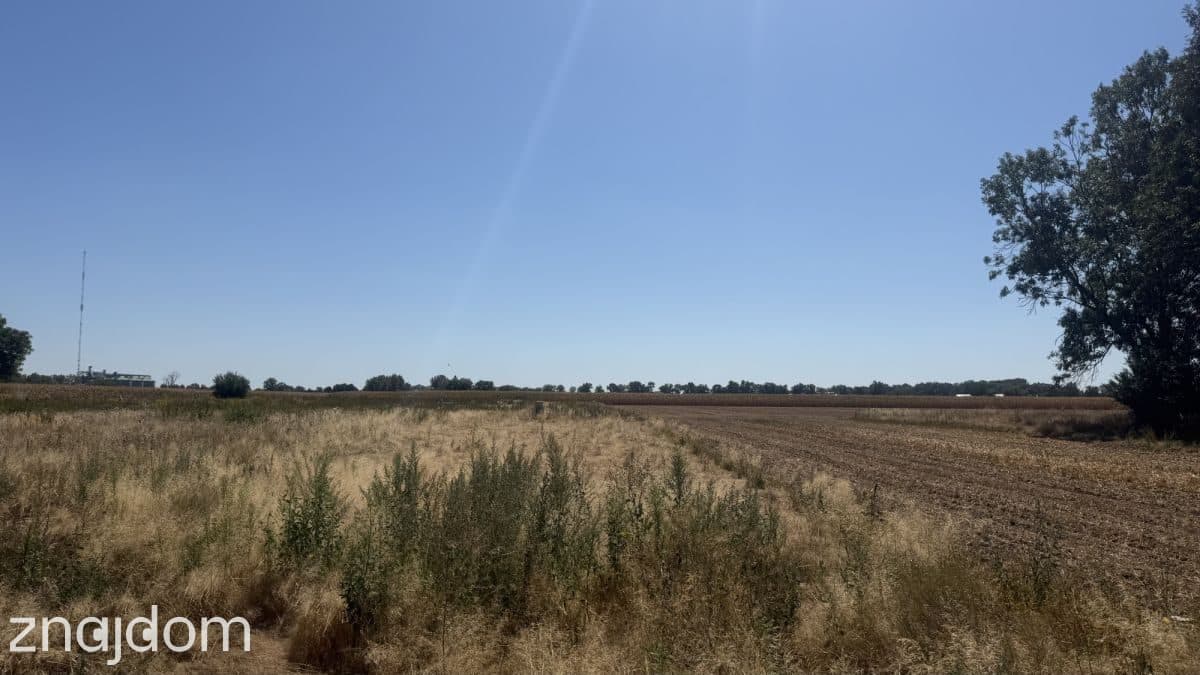 działki budowalne Szukalice gm.Żórawina