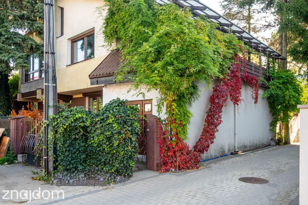 Lokal, POZNAŃ - zdjęcie 12