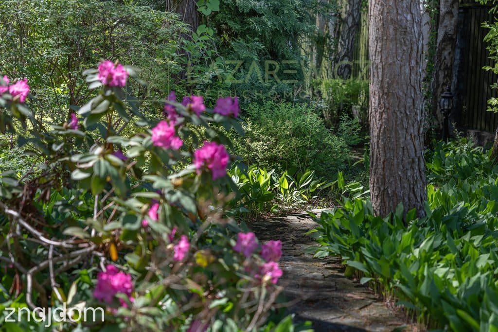 Rezydencja pod Warszawą z bezpośrednim dostępem do rzeki Świder - zdjęcie 5