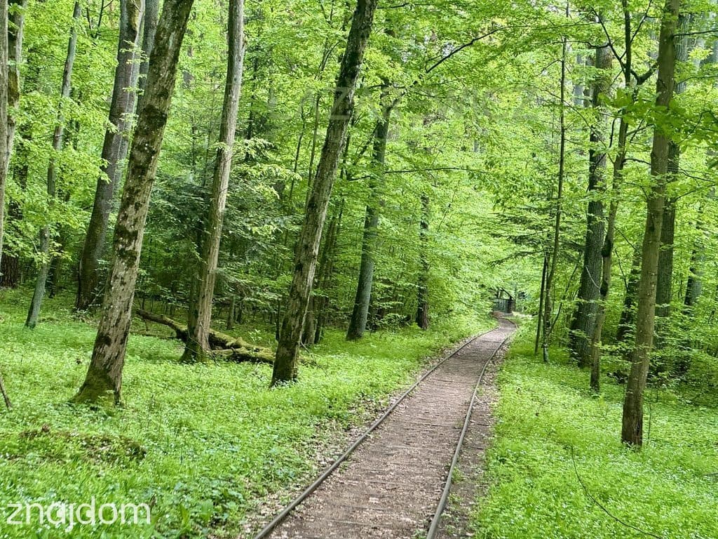 Działki w duchu Longevity | Osada Rudka Sanatoryjna Mrozy Mazowieckie - zdjęcie 2