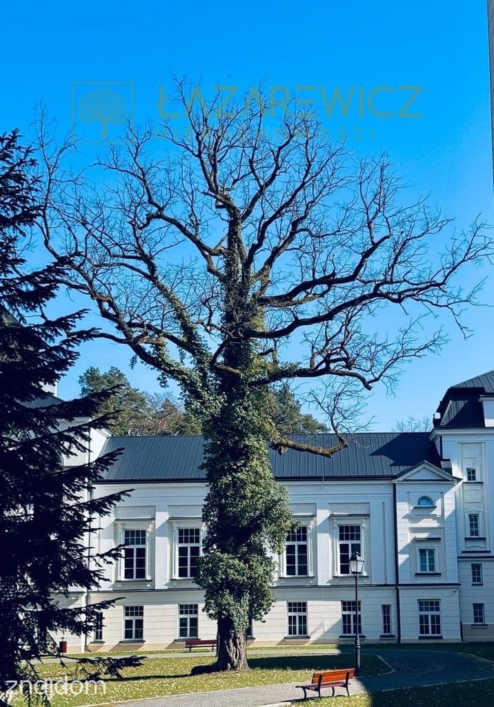 Działki w duchu Longevity | Osada Rudka Sanatoryjna Mrozy Mazowieckie - zdjęcie 17