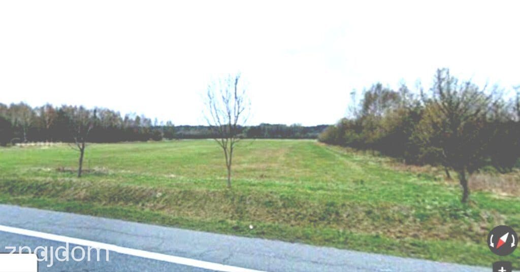 sprzedaż działka inwestycyjna 2.0205ha Grodziec - zdjęcie 2